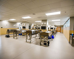 Stokes Construction